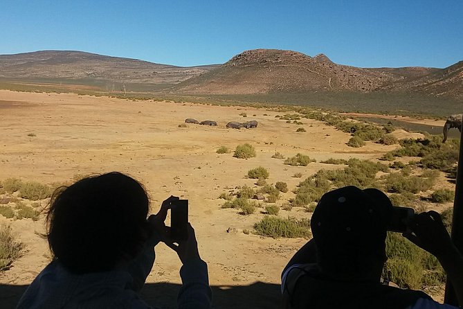 Big 5 Full Day Safari Aquila Lunch plus Breakfast From Cape Town - Breakfast Before the 4x4 Game Drive