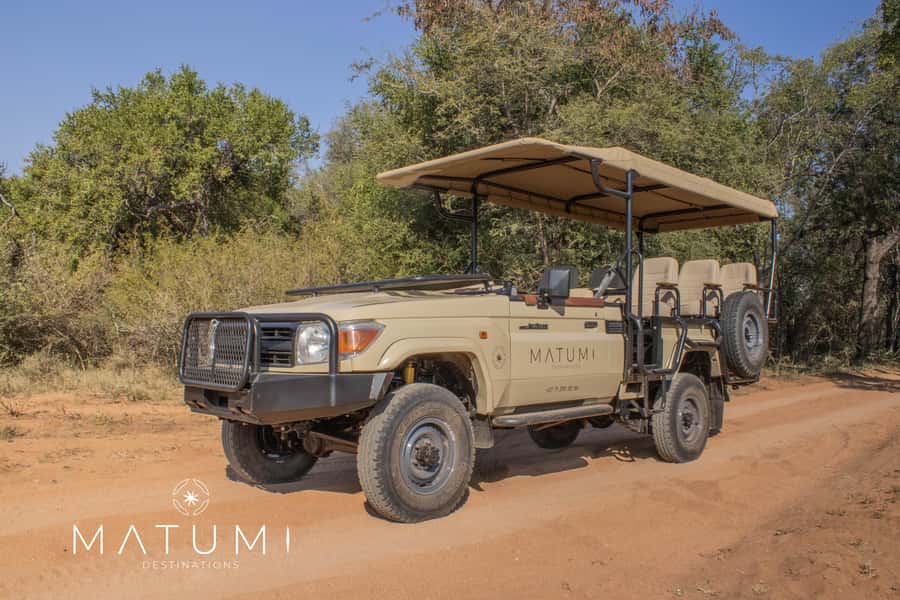 Big 5 Safari Am or Pm - Four hours in Kruger, with the bush setting the pace