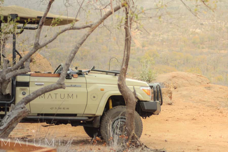 Big 5 Safari Am or Pm - Starting from Hoedspruit
