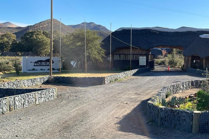 Big 5 Safari Aquila Full Day Private Return From Cape Town - Breakfast, lunch, and the reserve facilities