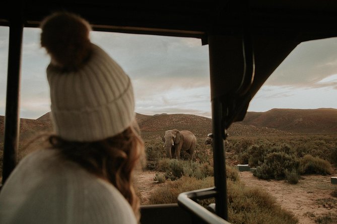 Big 5 Safari One Day Tour - The early road through Du Toitskloof