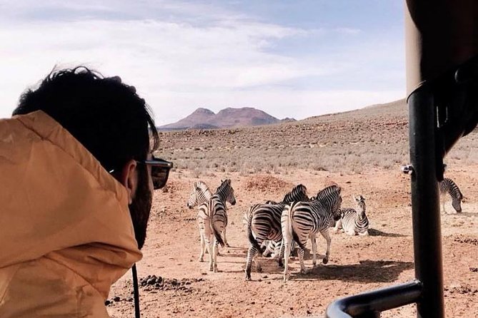 Big 5 Safari One Day Tour - What the Big Five promise really means