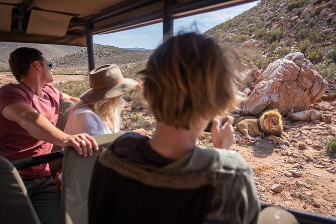 Big Five Safari Experience Near Cape Town ,South Africa - Who will enjoy this day most