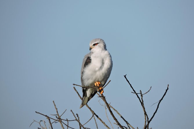 Birdwatching in Cape Town - A lunch break before the afternoon birding