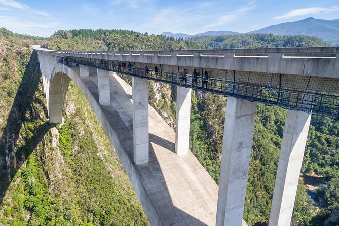 Bloukrans Bungy, the worlds best bungy jump! - The zipline turns the approach into part of the adventure