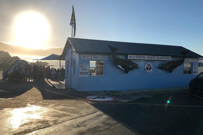 Boat Based Whale Watching from Hermanus - Comfort, weather, and what to bring