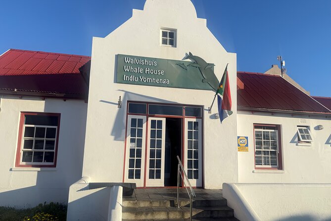 Boat Based Whale Watching from Hermanus - Who will enjoy this Hermanus trip most