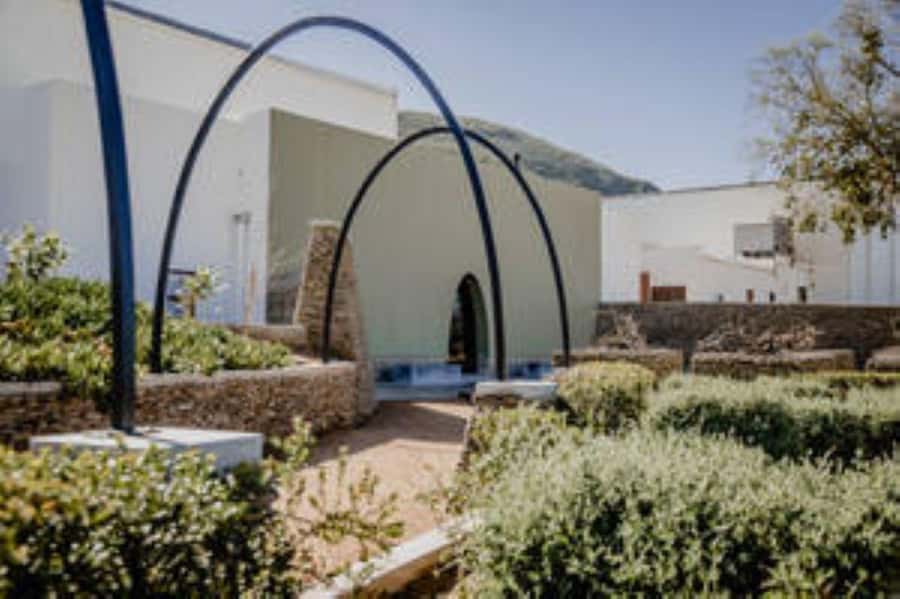 Bonnievale : Captivated By Chardonnay - Calcrete at 14h30, the first Chardonnay