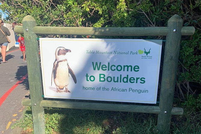 Boulders Beach Penguins and Seal Island Boat Trip Half Day Tour - The guide can shape the experience