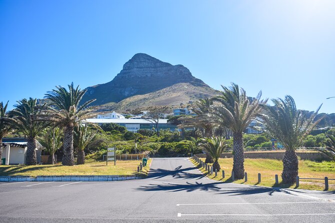 Boulders Beach Penguins Half Day Tour - Bo-Kaap begins with color and history