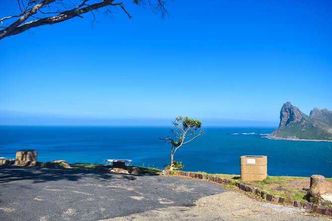 Boulders Beach Penguins Half Day Tour - Noordhoek Farm Village adds a short local break