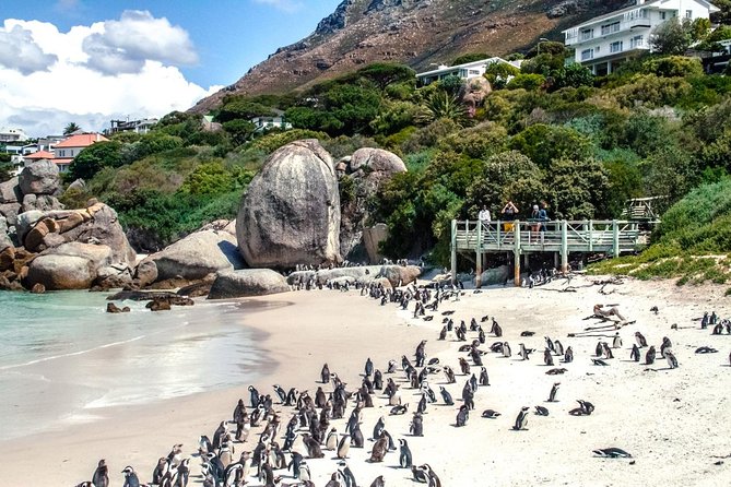 Breath-taking Cape Peninsula Tour - The Cape of Good Hope photo stop