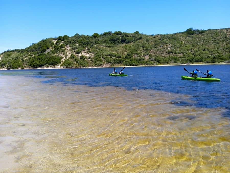 CANOEING IN SEDGEFIELD AT OYSTERS EDGE, GARDEN ROUTE - Is $31 per person good value?
