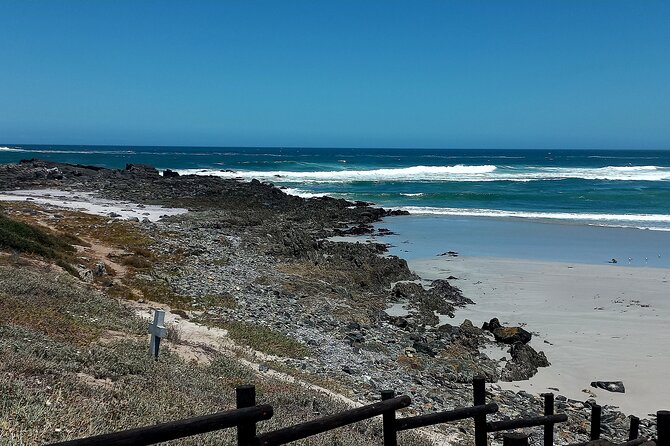 Cape Agulhas Full Day Private Tour - What the Private Format Changes