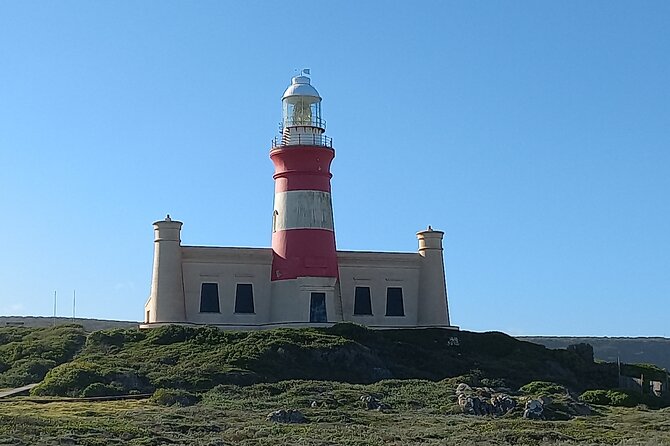 Cape Agulhas Full Day Private Tour - Stony Point Penguin Colony at Betty’s Bay