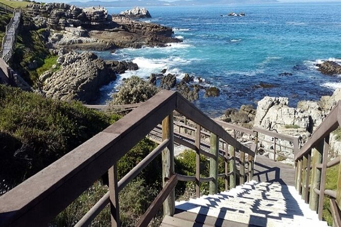 Cape Agulhas Full Day Private Tour - The Drive Is Part of the Experience