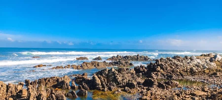 Cape Agulhas Full Day Private Tour - Who will enjoy this private day trip