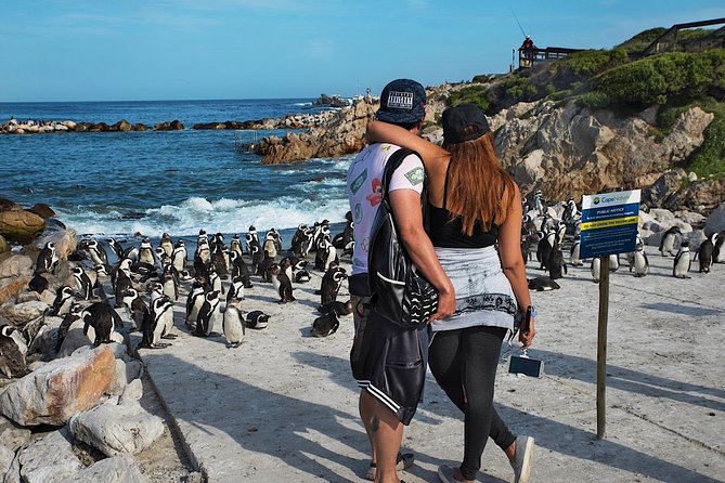 Cape Agulhas Full Day Private Tour from Cape Town - What the private vehicle changes
