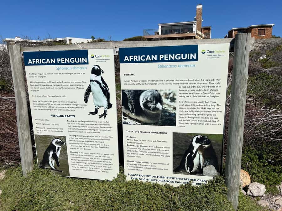 Cape Agulhas, Hermanus whales & Wine Tasting Day Trip - The southernmost point of Africa
