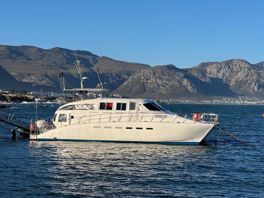 Cape Agulhas, Hermanus whales & Wine Tasting Day Trip - Hermanus and the chance of whales