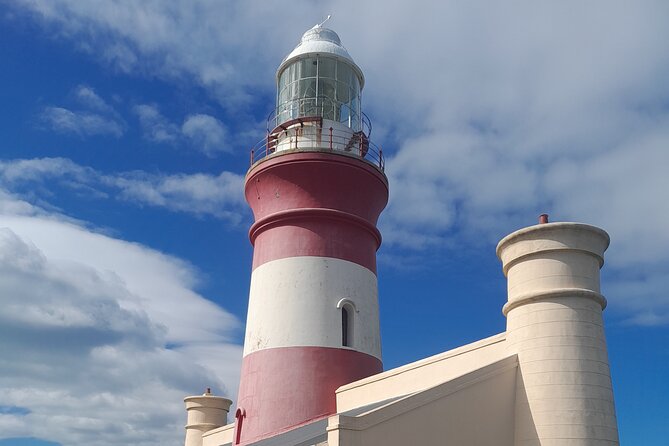 Cape Agulhas Southern Point of Africa Private Tour - Why Cape Agulhas makes this day worth considering