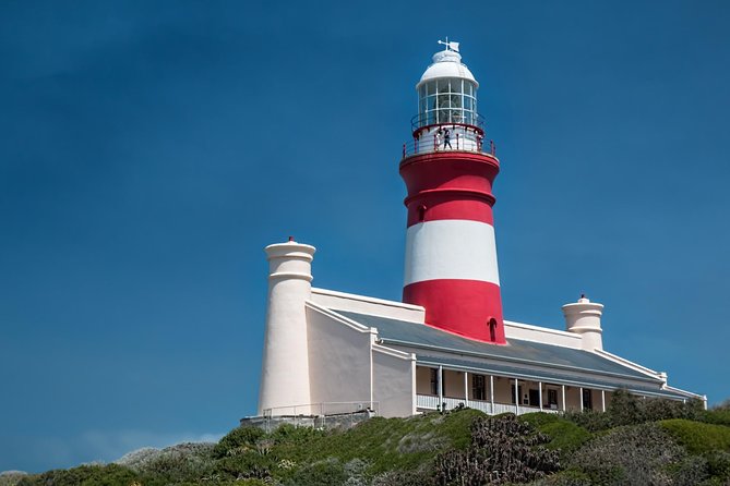 Cape Agulhas | Stony Point Nature Reserve - Stony Point and the African penguins