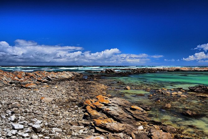 Cape Agulhas | Stony Point Nature Reserve - What a private tour changes