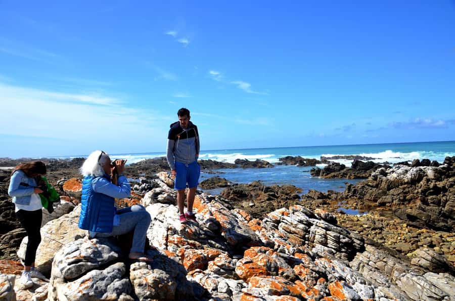 Cape Agulhas Tour from Cape Town - Key points to know before booking