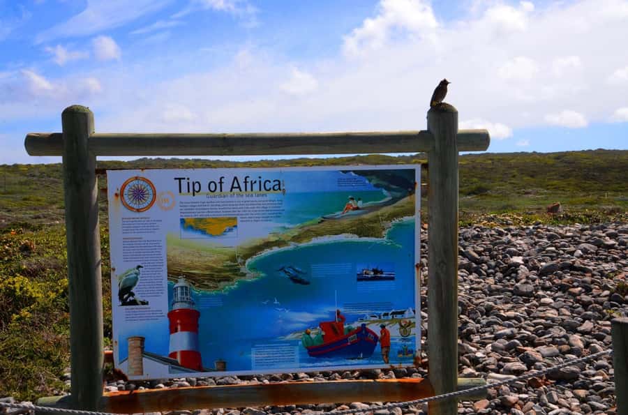 Cape Agulhas Tour from Cape Town - Who should book this day trip?