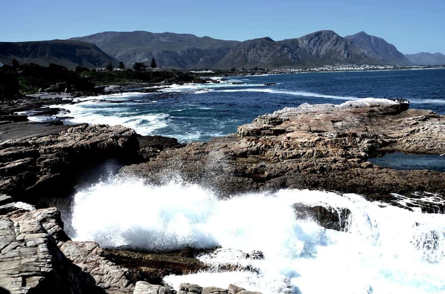 Cape Agulhas Tour from Cape Town - Why Cape Agulhas is worth the long road from Cape Town
