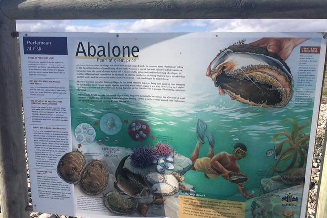 Cape Agulhas,, Where the 2 oceans meet - Why Cape Agulhas is worth the long drive