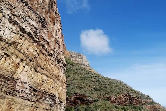 Cape of Good Hope and Penguin Beach Tour in Cape Town - Bo-Kaap begins the cultural side of the day