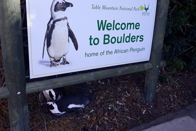 Cape of Good Hope and Penguins - Small Group - Full day - Hout Bay adds an optional boat ride