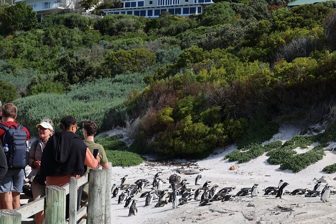 Cape Of Good Hope and Table Mountain Day Trip from Cape Town parks fees include - Cape Point is the day’s main event