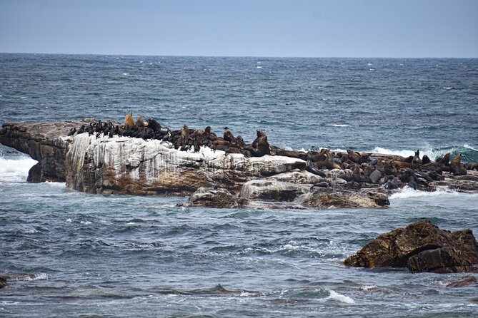 Cape of Good Hope & Boulder Penguins Full-Day Tour from Cape Town - Why this Cape Peninsula tour works well in one day