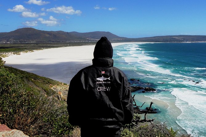 Cape of Good Hope, Cape Point & Penguins Private customizable Full Day Tour - Cape Point lighthouse and the optional walk