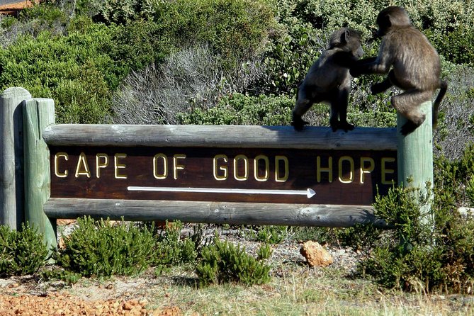 Cape of Good hope, Cape Point & Penguins, Private Morning Tour - Cape Point combines views, walking, and a lighthouse