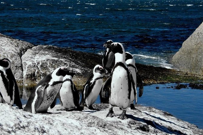 Cape of Good hope, Cape Point & Penguins, Private Morning Tour - The return route adds Kalk Bay, Muizenberg, and history