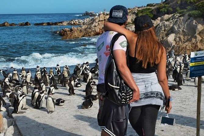 Cape of Good Hope-Cape Point - Penguins Private Tour Cape Town - The timing suits a first visit, not a slow coastal day