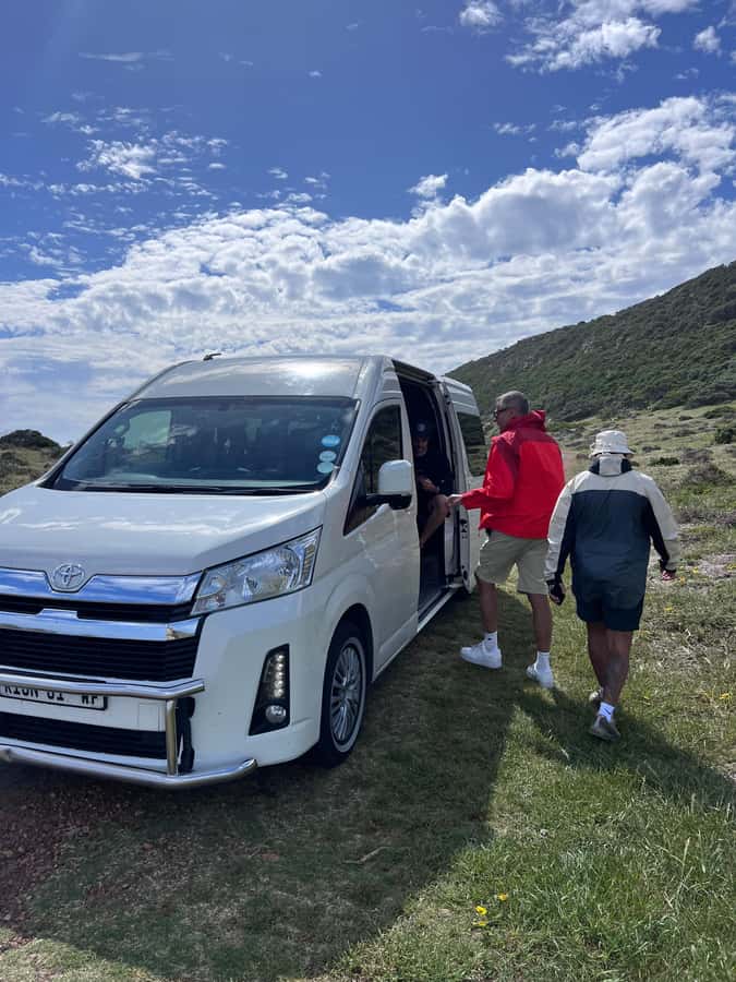 Cape of Good Hope, Chapman's Peak Drive, Penguins , Seals - Who Should Book This Cape Peninsula Tour?