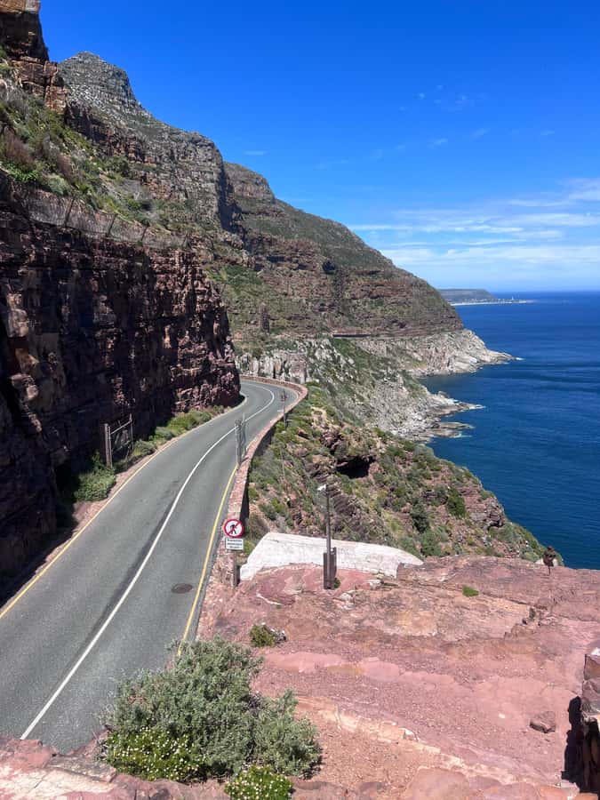 Cape of Good Hope, Chapman's Peak Drive, Penguins , Seals - Bo-Kaap and the Atlantic Seaboard