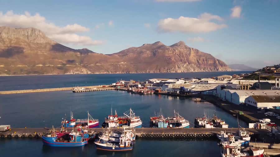 Cape of Good Hope Full-Day Private Tour - Why Cape Point makes this an all-day outing