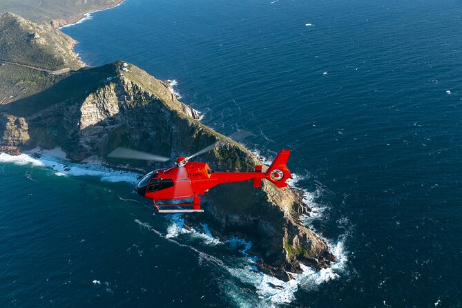 Cape of Good Hope Helicopter Private Tour with Stellenbosch Wine Tasting & Lunch - Where the wildlife portion fits