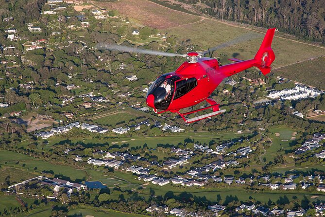Cape of Good Hope Helicopter Private Tour with Stellenbosch Wine Tasting & Lunch - Who should book this Cape Town day?
