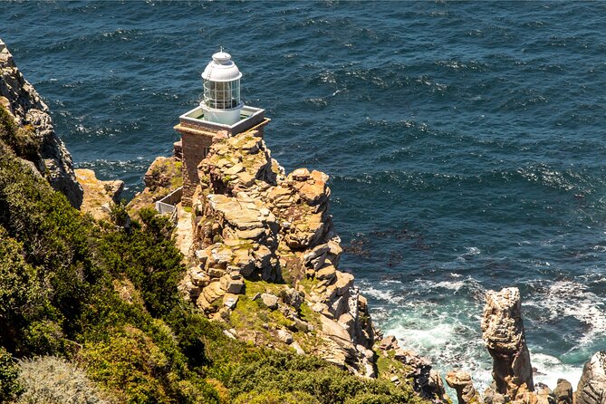 Cape of Good Hope & Penguins Full Day Tour From (The Mother City) Cape Town. - One long day along Cape Town’s Atlantic coast