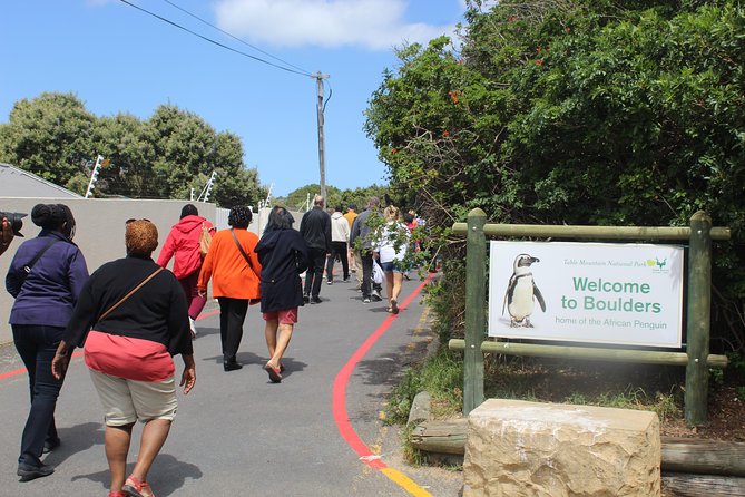 Cape Of Good Hope, Penguins Private Tour from Cape Town full day - Cape Point Nature Reserve: allow three hours