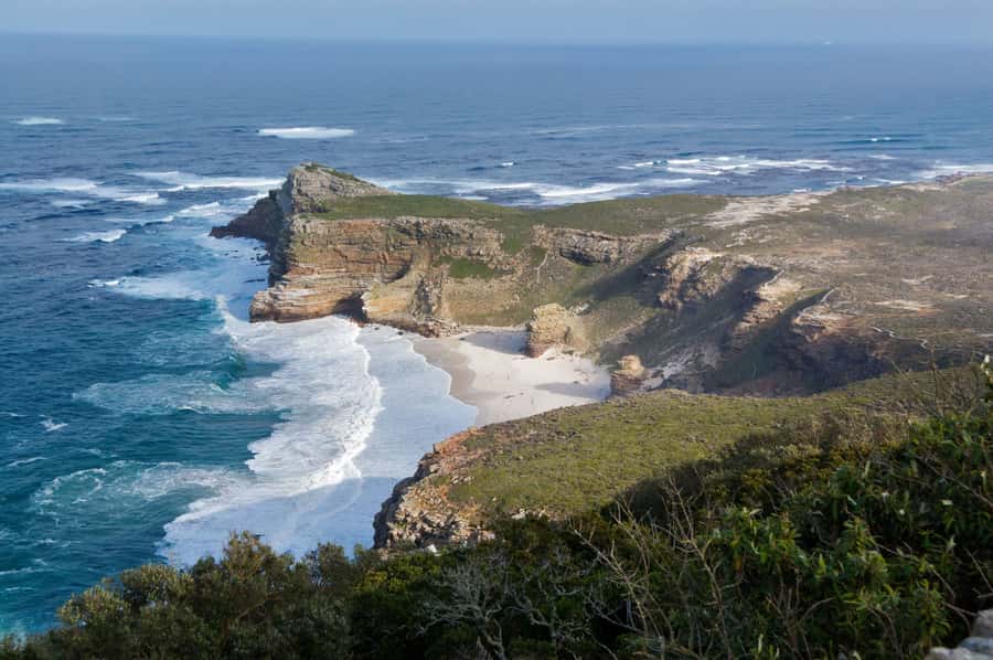 Cape of Good Hope Penguins Seals & Chapmans Peak Shared Tour - Simon’s Town, Kalk Bay, and St James Beach