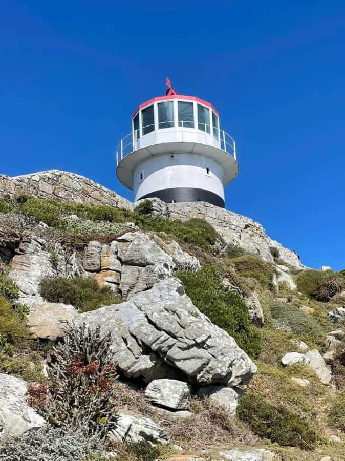 Cape of Good Hope & Penguins Shared Tour - Boulders Beach and the African Penguins