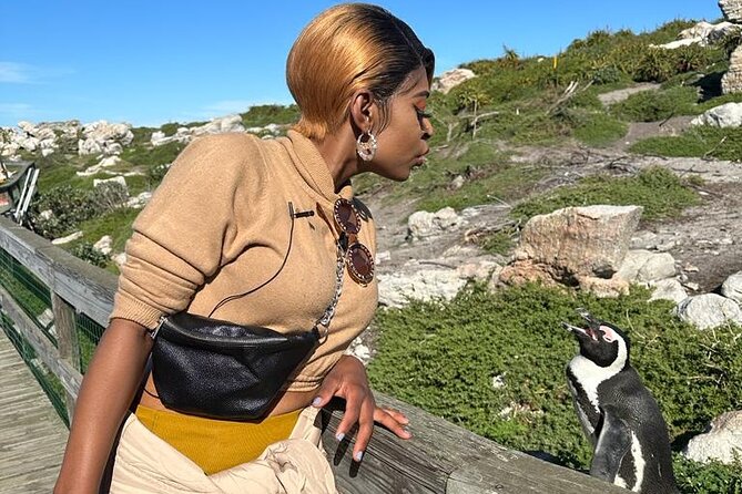 Cape of Good Hope & Penguins Small Group Tour from Cape Town - Seeing the African penguins at Boulders Beach