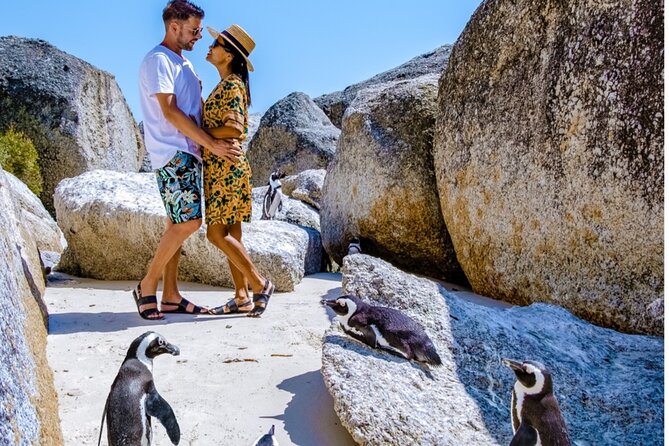 Cape of Good Hope & Penguins Small Group Tour from Cape Town - Bo-Kaap starts the day with colour and character